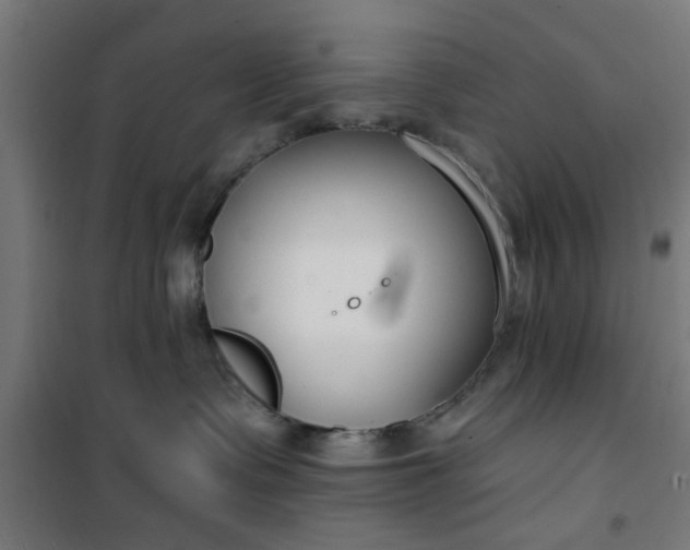 X0000100750335200807031341