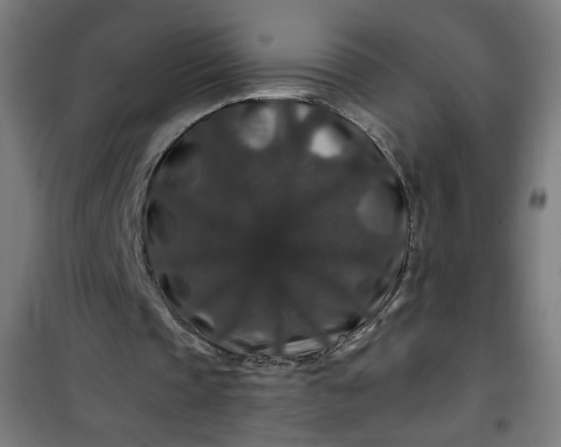 X0000100750337200807031341