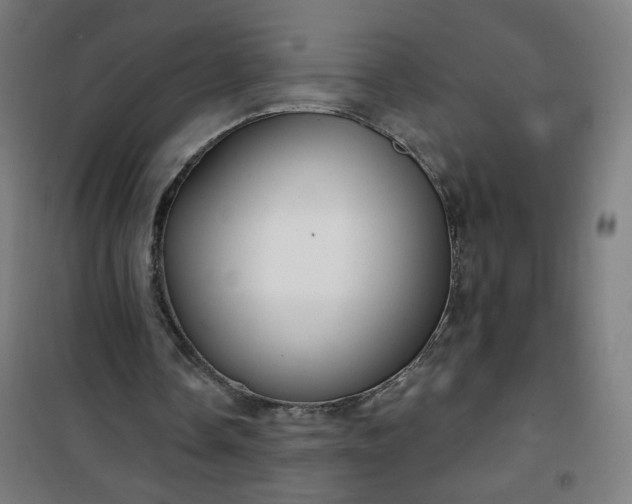 X0000100750338200807031341