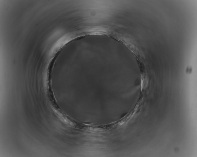 X0000100750339200807031341