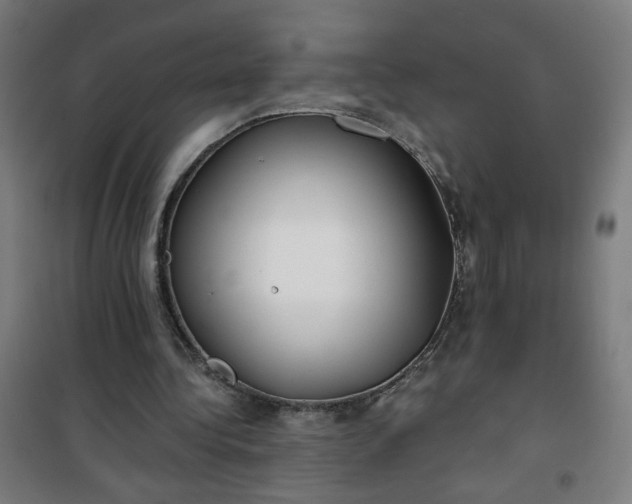 X0000100750340200807031341