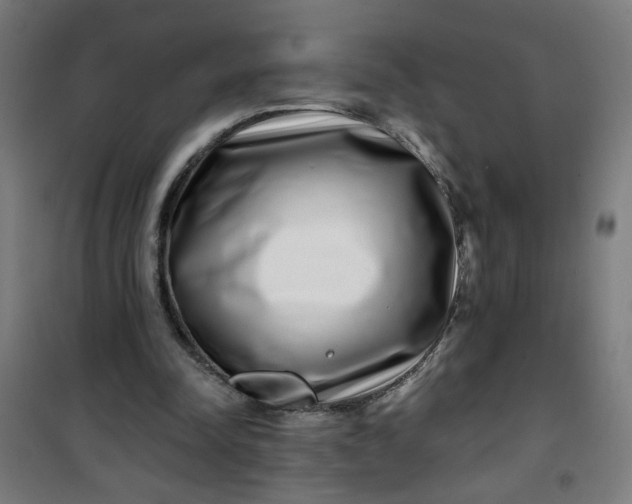 X0000100750342200807031341