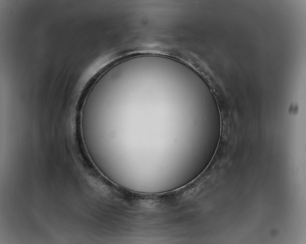 X0000100750344200807031341