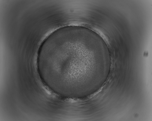 X0000100750346200807031341