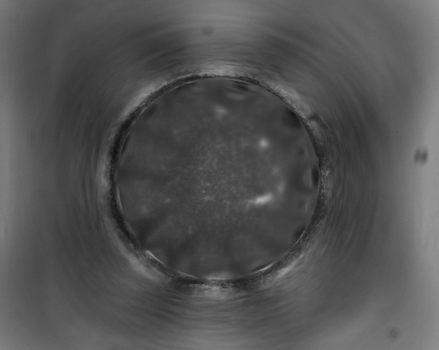 X0000100750347200807031341