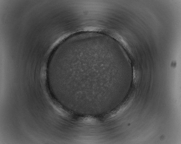 X0000100750348200807031341