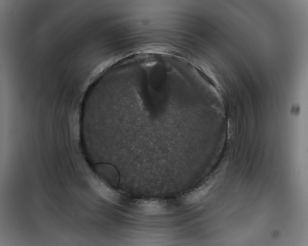 X0000100750349200807031341