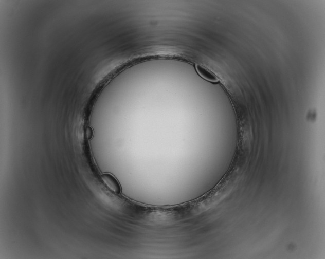 X0000100750350200807031341