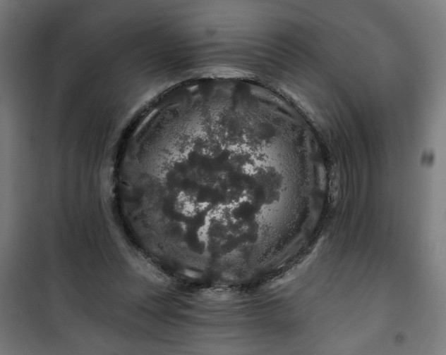 X0000100750351200807031341