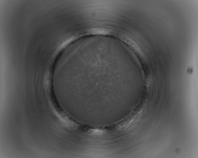 X0000100750352200807031341