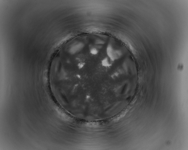 X0000100750353200807031341