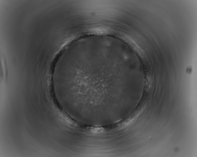 X0000100750355200807031341