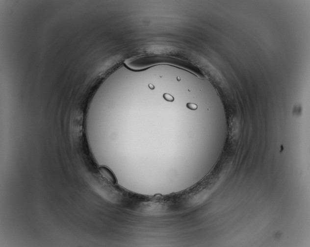 X0000100750356200807031341