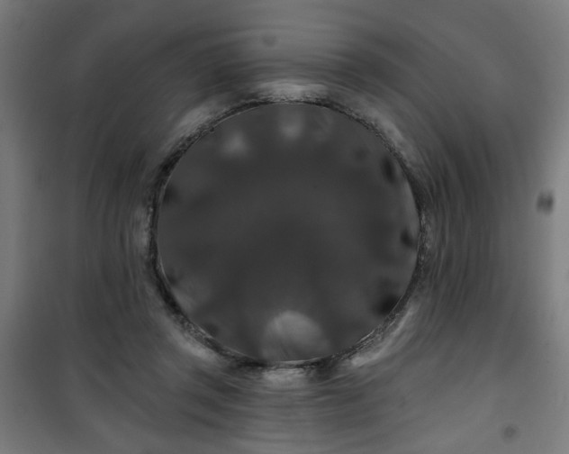 X0000100750357200807031341