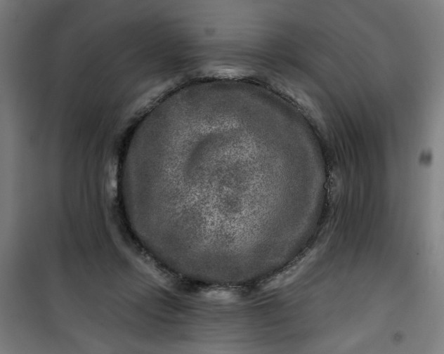 X0000100750358200807031341