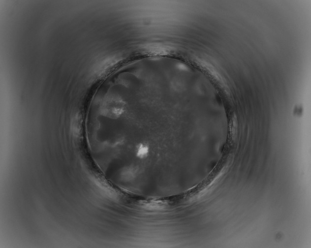 X0000100750359200807031341