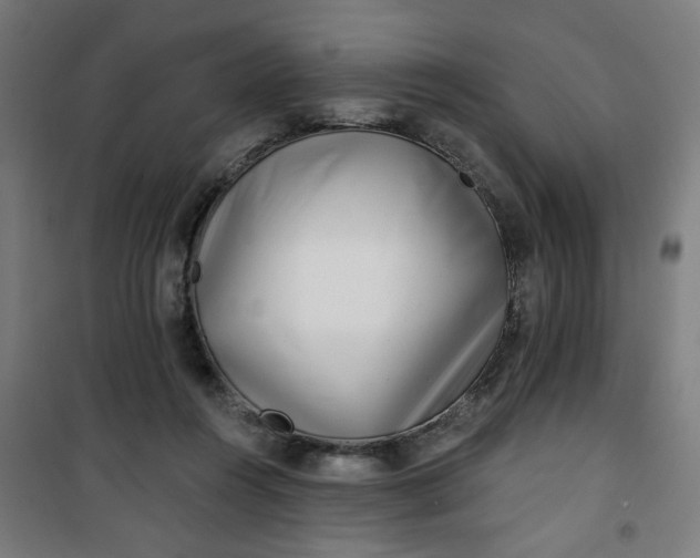 X0000100750360200807031341