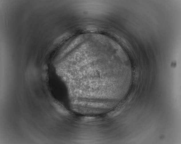 X0000100750361200807031341