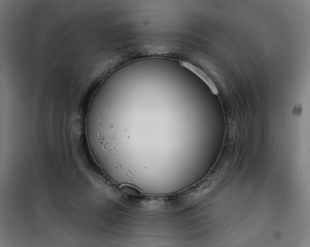 X0000100750362200807031341