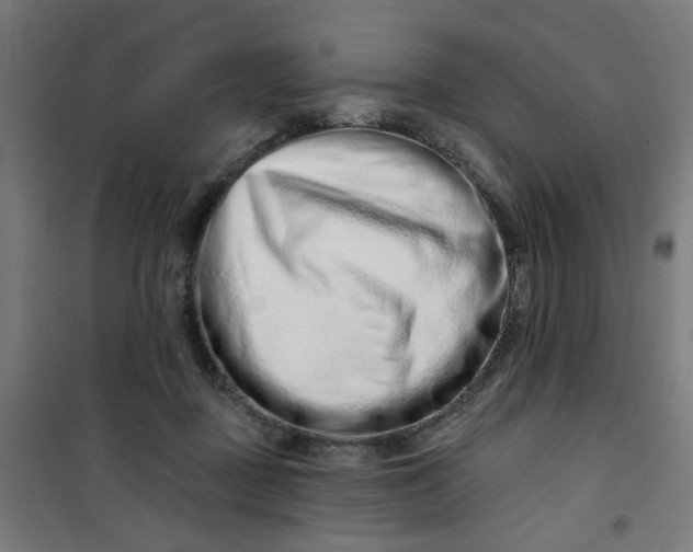 X0000100750363200807031341