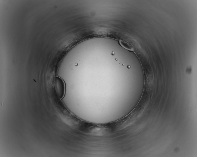 X0000100750364200807031341