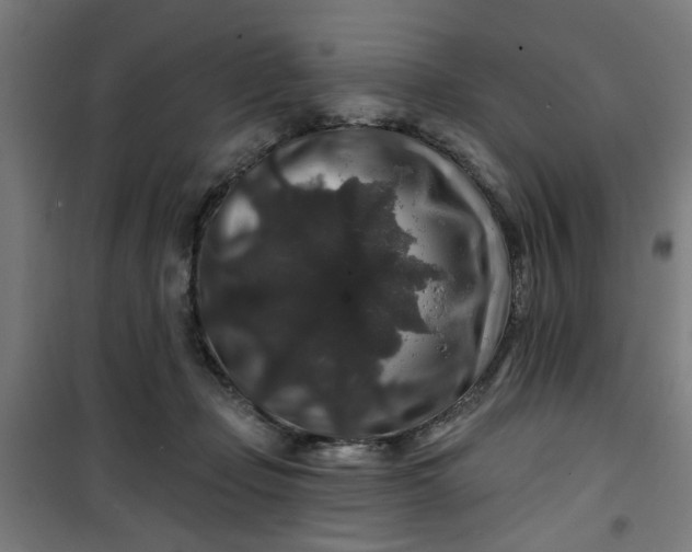 X0000100750365200807031341