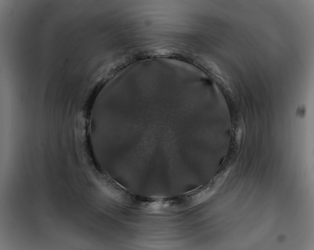 X0000100750366200807031341