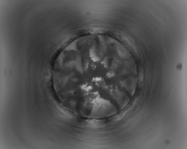 X0000100750367200807031341