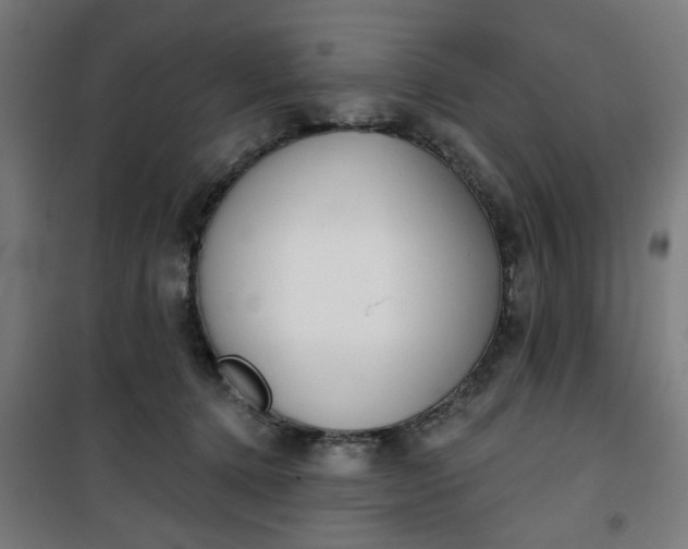 X0000100750368200807031341