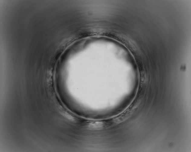 X0000100750369200807031341