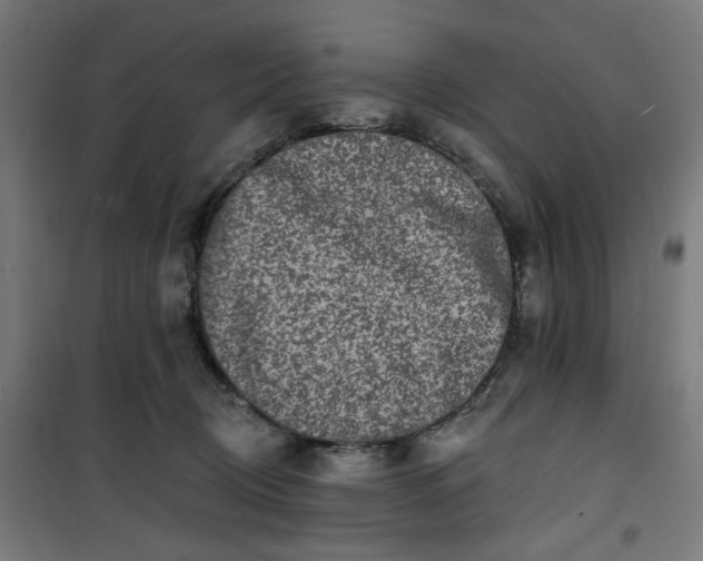 X0000100750370200807031341