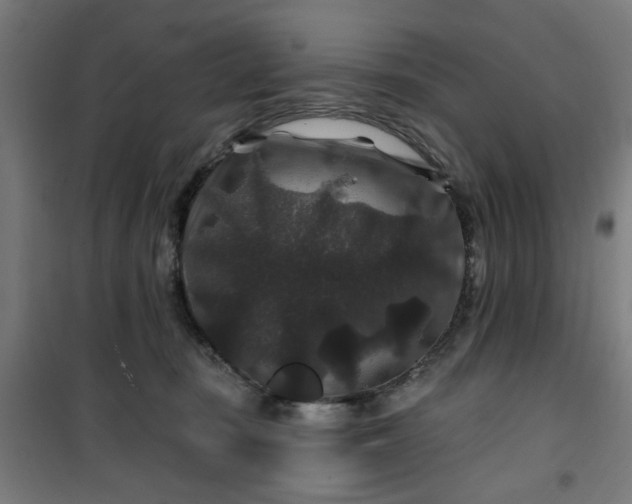 X0000100750371200807031341