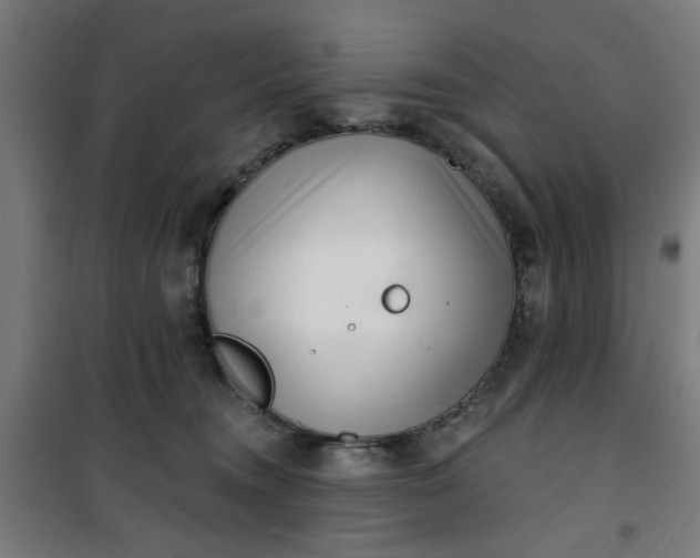 X0000100750372200807031341