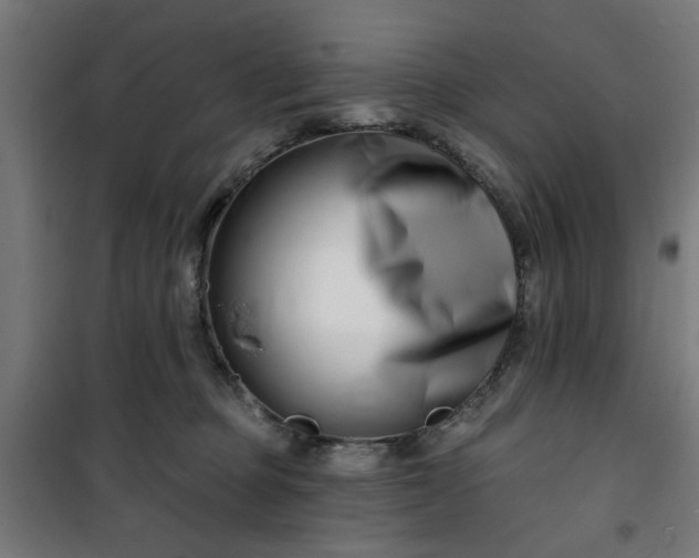 X0000100750373200807031341