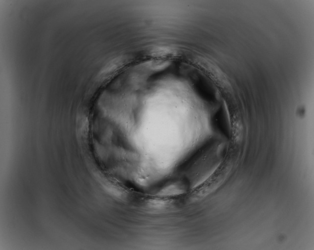 X0000100750375200807031341