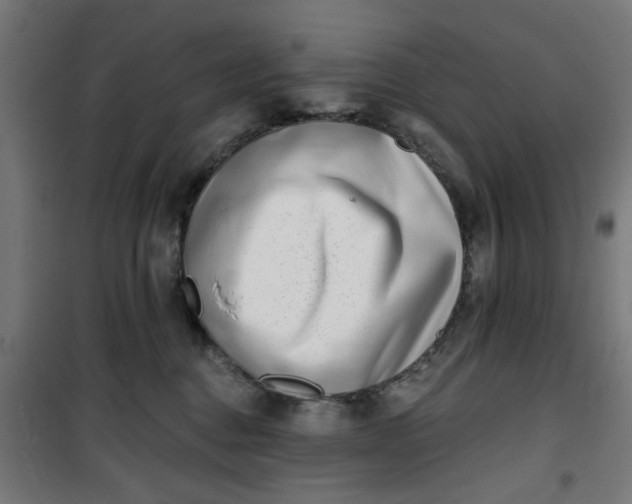 X0000100750376200807031341