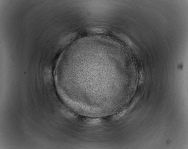 X0000100750377200807031341