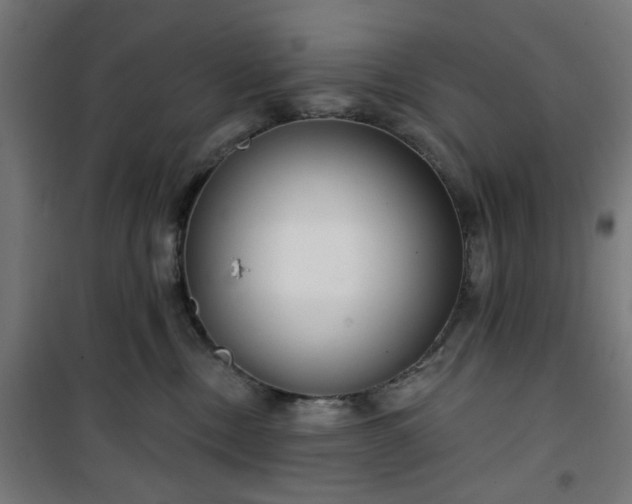 X0000100750378200807031341