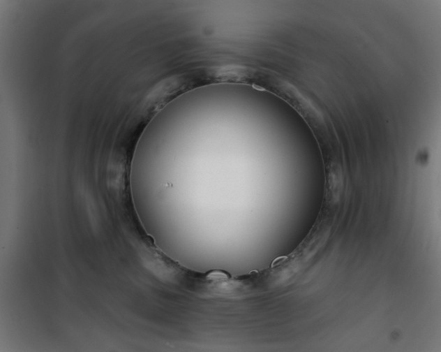 X0000100750379200807031341