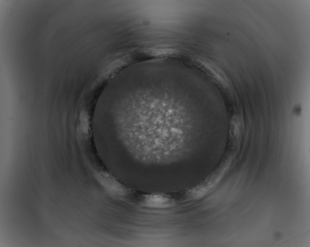 X0000100750380200807031341