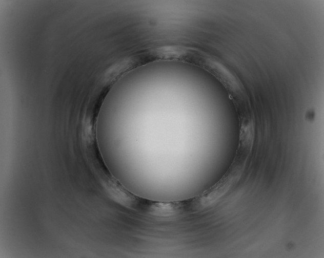 X0000100750381200807031341