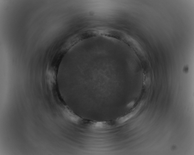 X0000100750382200807031341