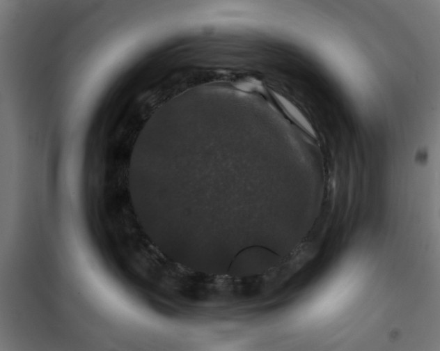 X0000100750383200807031341