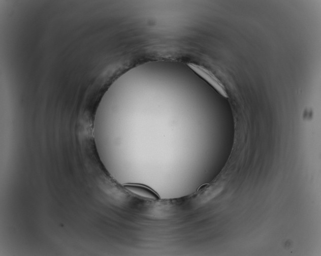 X0000100750384200807031341