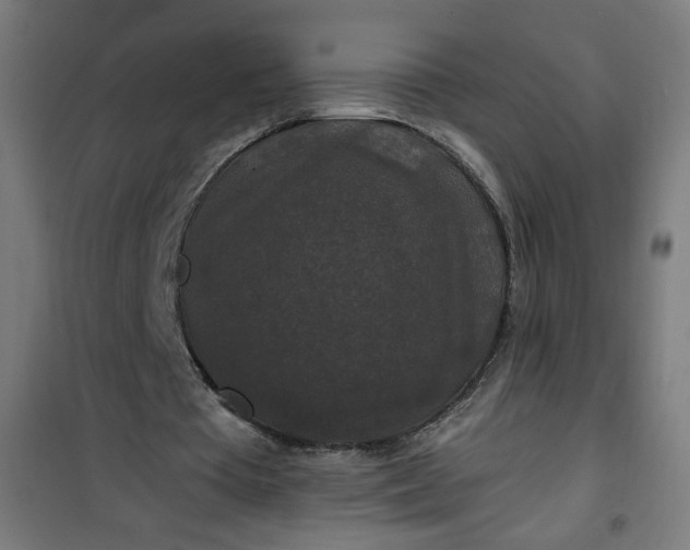 X0000100750385200807031341