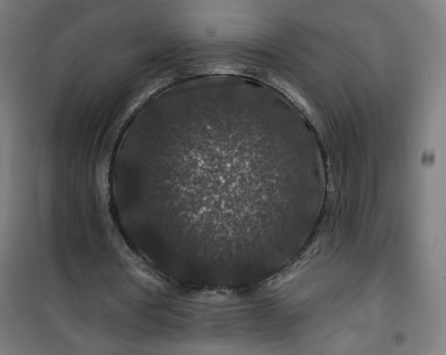 X0000100750386200807031341