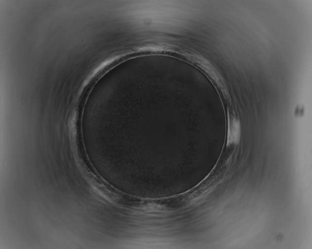 X0000100750387200807031341