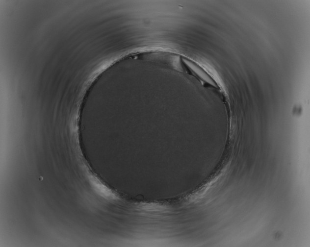 X0000100750389200807031341