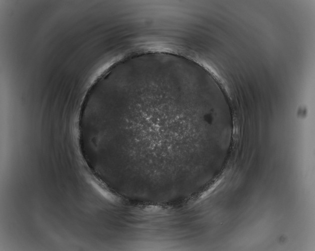 X0000100750390200807031341