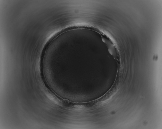 X0000100750391200807031341